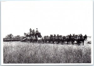 Postcard - Mule-drawn combine harvestor on the Wiseman Family Ranch - California