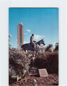Postcard Famous Cowboy & His Horse Will Rogers on Soapsuds Fort Worth Texas USA