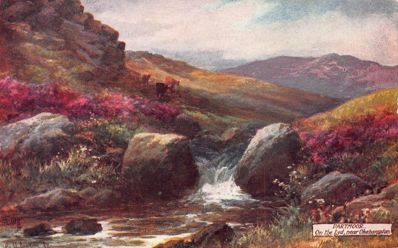 The River Lyd, Near Okehampton, Dartmoor, England, Early Tuck's Postcard, Unused