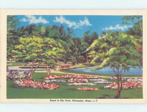 Unused Linen PARK SCENE Worcester Massachusetts MA H2203