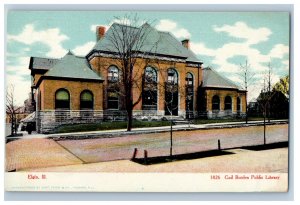 c1905 Withered Tree, Gail Borden Public Library Elgin IL Antique Postcard