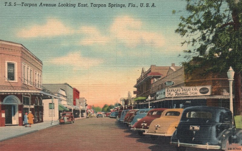 Vintage Postcard Tarpon Avenue Looking East Raynard Drug Car Parks Florida FL