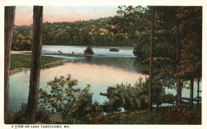 Vintage Postcard 1920's A View On Lake Trees Nature Taneycomo Missouri MO