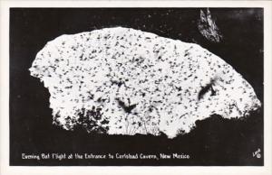 New Mexico Carlsbad Caverns Evening Bat Flight At Entrance Real Photo