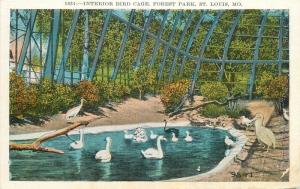 Forest Park Bird Cage St Louis Missouri MO Postcard