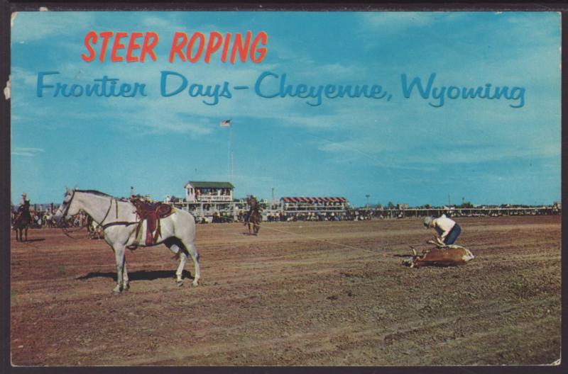 Steer Roping,Frontier Days,Cheyenne,WY Postcard BIN