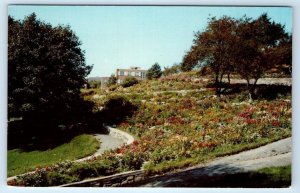 Flower Gardens DARTMOUTH Park NOVA SCOTIA CANADA Postcard