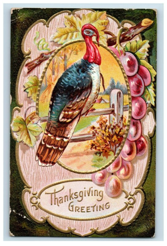 c.1910 Winsch Back Turkey Grapes Thanksgiving Vintage Postcard P51 