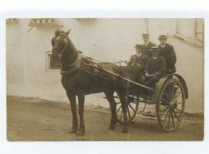ms2643 - horse & trap & passengers - postcard