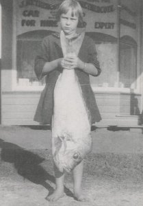 Girl Pregnant With Fish Fishing In Queensland Australia 1920 Photo Art Postcard