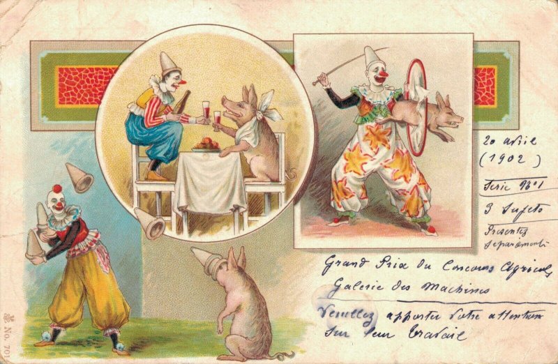 Circus Clowns With Pigs Litho Postcard Funny 03.74