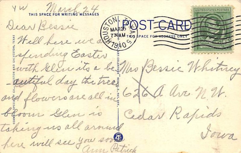 Oleanders In Bloom - Galveston, Texas TX