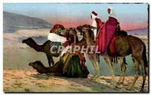 Old Postcard Algeria SCENES AND TYPES OF NORTH AFRICA Camel Camel