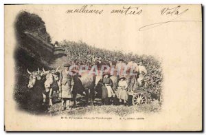 Postcard Old Wine Harvest Pyrenees Char Oxen TOP