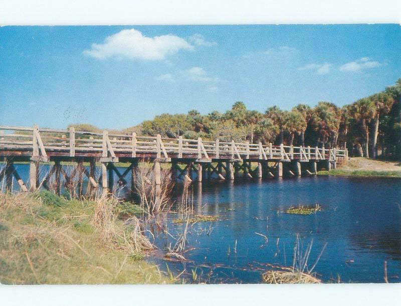 Pre-1980 BRIDGE SCENE Myakka River Park - Near Bradenton & Sarasota FL d3301