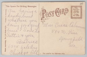 Chicago Illinois~Jackson Park Boat House~Yacht Club~Harbor~Vintage Postcard 