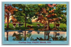 Generic Scenic Greetings Spring Brook WI Dealer Sample UNP LInen Postcard M20