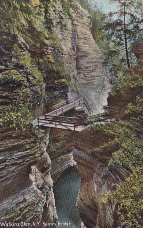 New York Watkins Glen Sentry Bridge