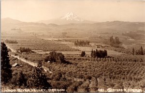 Real Photo Postcard Overview of Hood River Valley, Oregon