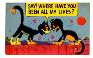 Humor - All my lives