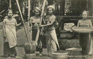 indonesia, BALI, Nude Women Pounding Rice (1910s) Postcard