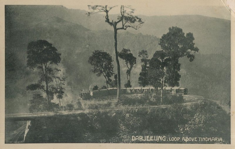 Darjeeling Loop Above Tindharia India Real Photo Old Postcard