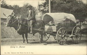 Man Riding Cow Ox Pulling Wagon Going to Market National Art View NY City