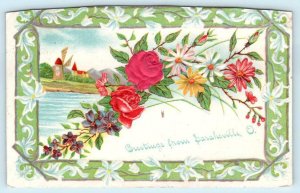 Greetings from SARAHSVILLE, OHIO  OH ~ Embossed 1908 Noble County  Postcard