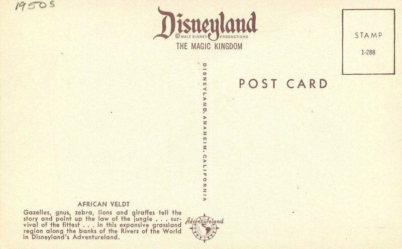African Veldt Disneyland Amusement Anaheim California Postcard Animals 20-9138