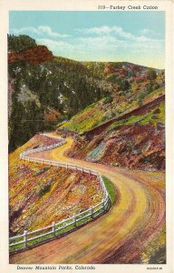 Denver Mountain Parks Colorado 1930-40s Postcard Turkey Creek Canon