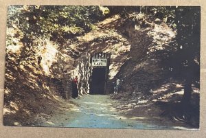 VINTAGE UNUSED POSTCARD - ENTRANCE TO MARK TWAIN CAVE, HANNIBAL, MISSOURI