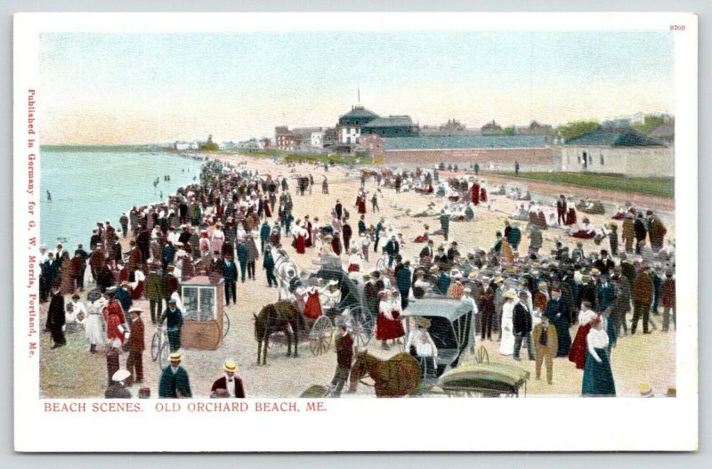 Old Orchard Beach Maine~Booth Bicycles~Buggy~Bath House~Bathers~Bungalows~c1900