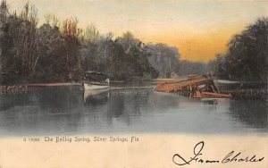 The Boiling Spring Silver Springs, Florida