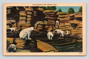 Polar Bears at Zoo Detroit Michigan MI UNP Unused Linen Postcard E15