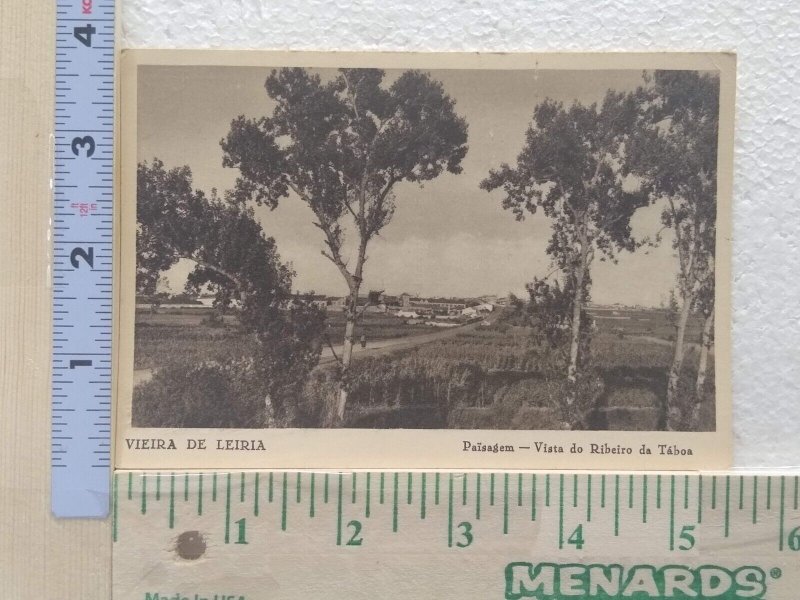 Postcard Païsagem, Vista do Ribeiro da Táboa, Vieira de Leiria, Portugal