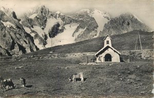 Alpine scenic with cows and mountains Alpes du Dauphine photo postcard France