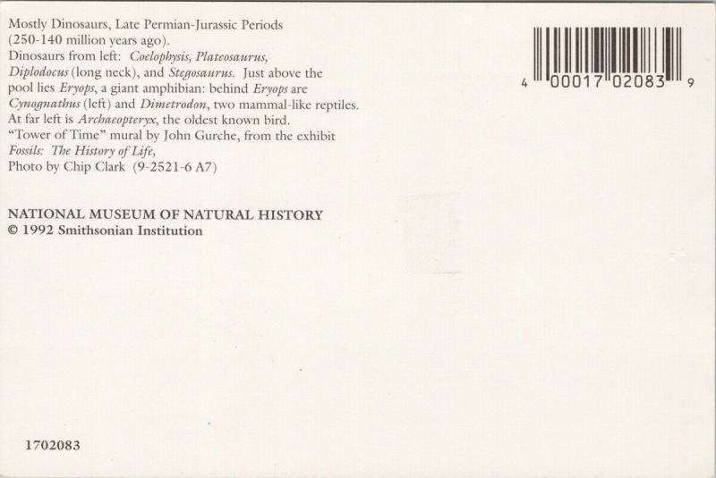 Dinosaurs National Museum of Natural History Unused Postcard F6