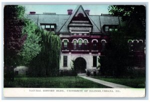 Urbana Illinois IL Postcard Natural History Building University Illinois c1911