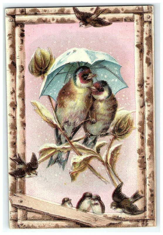 1880s Coffee Lion Trade Card Victorian Spice Woolson Toledo Co Birds Umbrella 