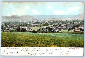 Waverly New York NY Postcard Birds Eye View Buildings Trees 1906 Vintage Antique