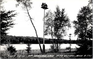 Real Photo Postcard South Shore 2nd Hamilton Lake near Norway, Michigan~138839