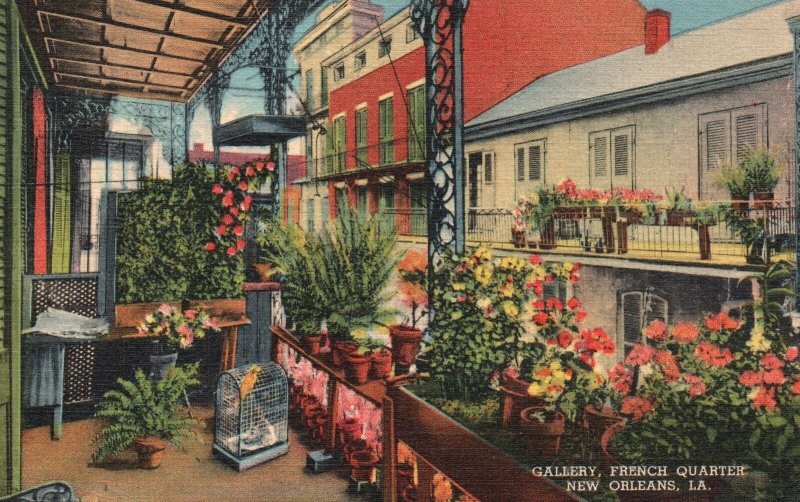 Vintage Postcard 1948 Typical Gallery Scene French Quarter New Orleans Louisiana