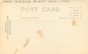 Postcard RPPC Utah Kaibab forest road 1930s Gerlach's 23-7550