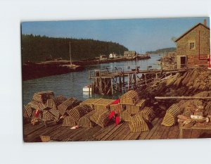 Postcard Maine Lobster Mens Wharf Maine USA