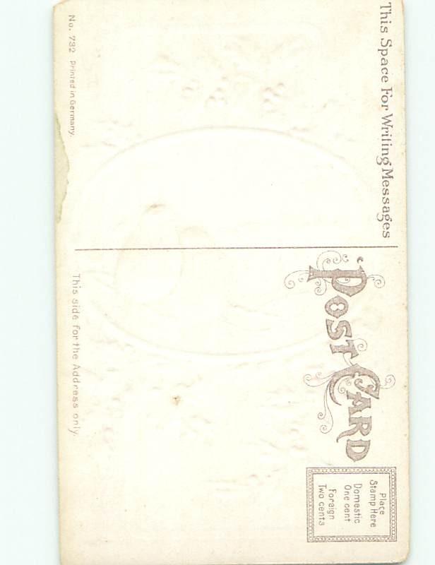 Divided-Back BIRDS SCENE Pretty Postcard AA9273