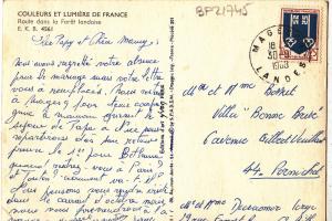 BF21745 route dans la foret landaise landscape france  front/back image