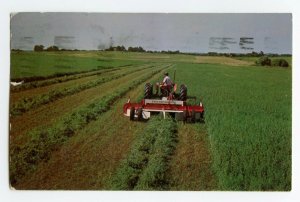 Postcard BMB Hay Savor 12 BMB Test Farm Holton Kansas Standard View Card