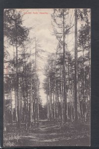 Hampshire Postcard - Church Path, Headley, Near Bordon  HP188