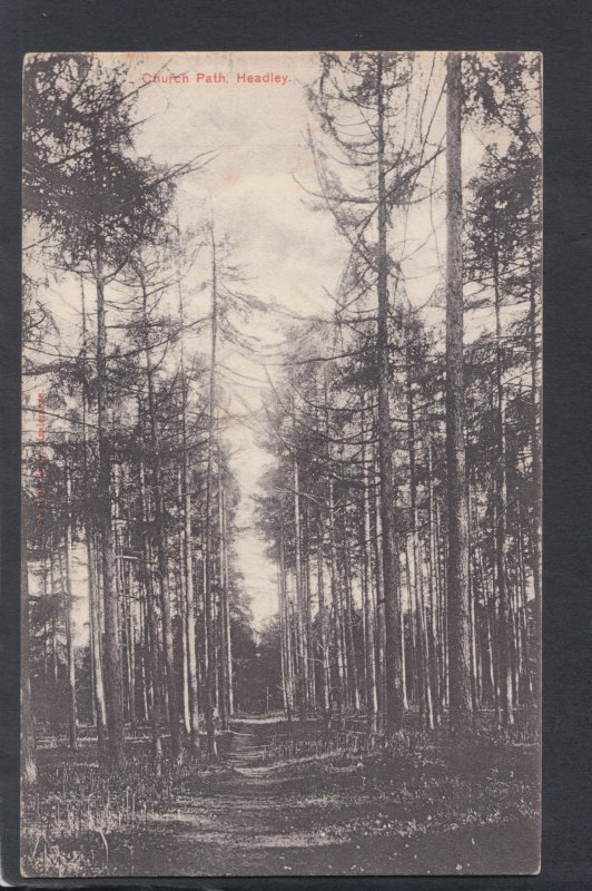 Hampshire Postcard - Church Path, Headley, Near Bordon  HP188