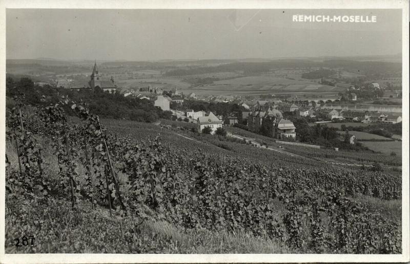luxemburg, REMICH-MOSELLE, Panorama (1940s) RPPC